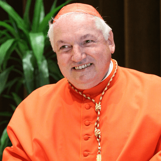 Visite pastorale du Cardinal Jean-marc Aveline